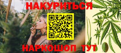 крисы Абакан