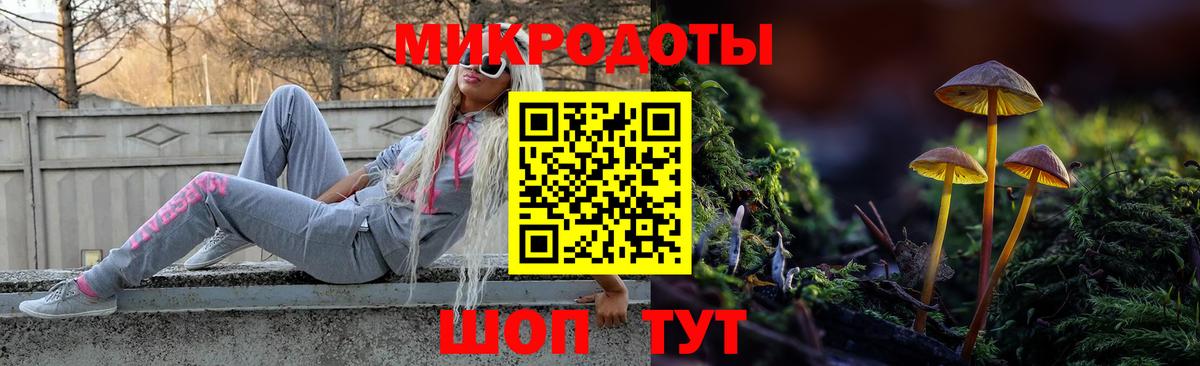 Галлюциногенные грибы Psilocybine cubensis  Галлюциногенные грибы прущие грибы  Благодарный  Вход с VPN 
