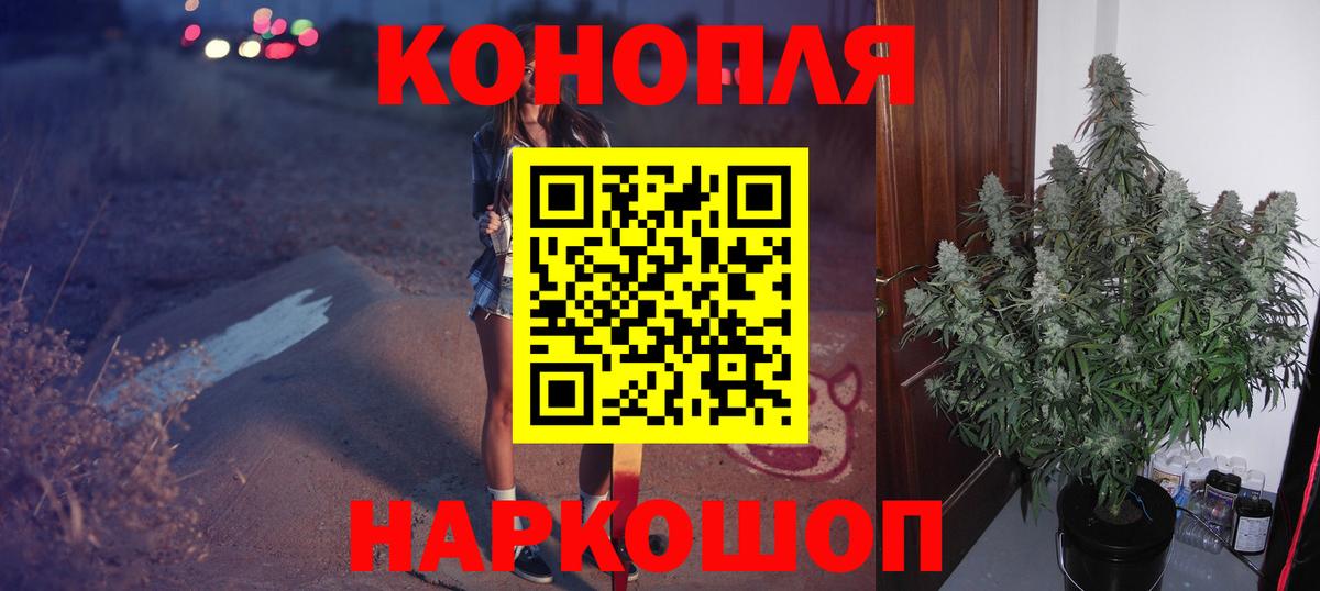 МАРИХУАНА OG Kush  Благодарный  Марихуана ГИДРОПОН 